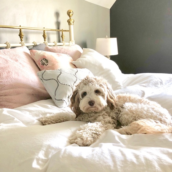 Meet your Posher, Madison - Picture 1 of 1